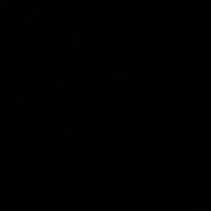 Meet your Posher, Preslie